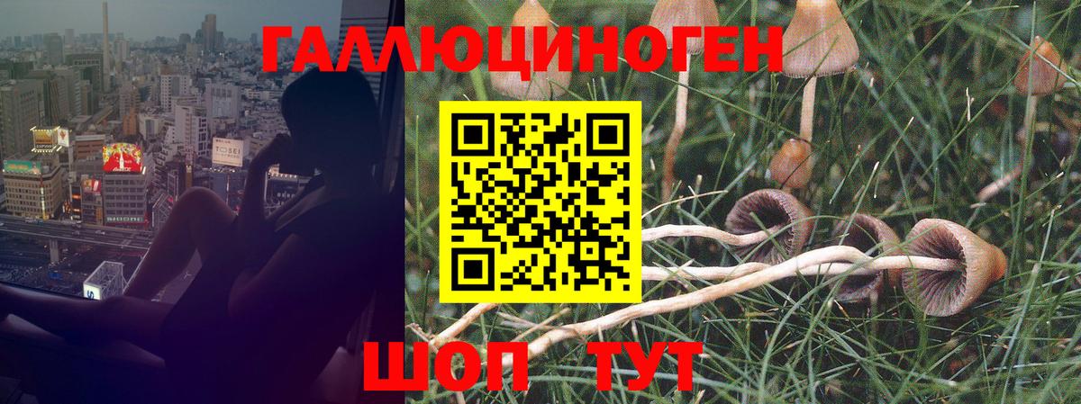 Галлюциногенные грибы мухоморы  Вход с VPN  Киселёвск 