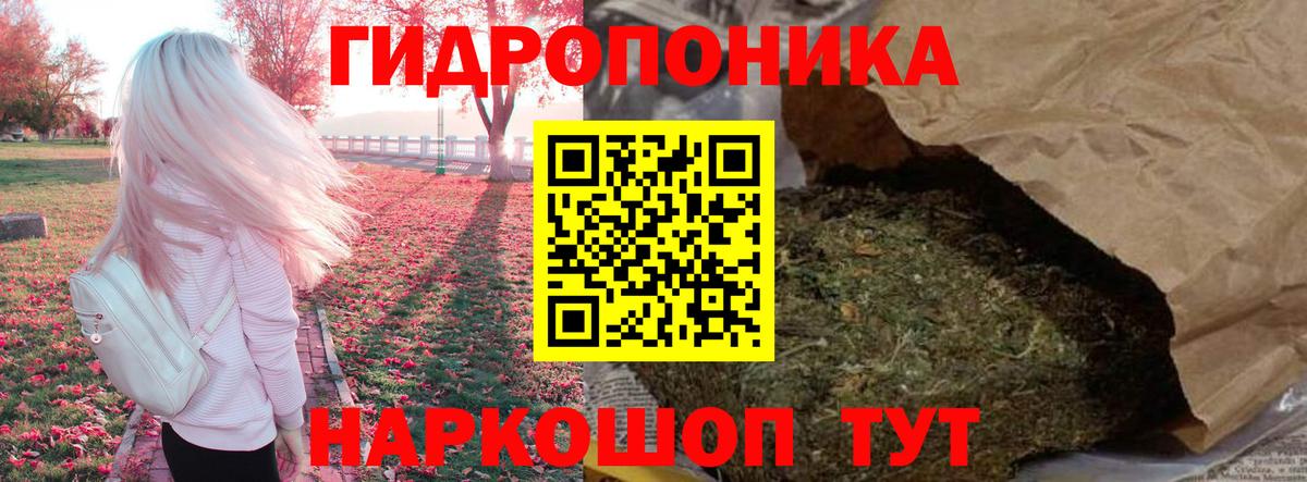 Конопля марихуана Киселёвск